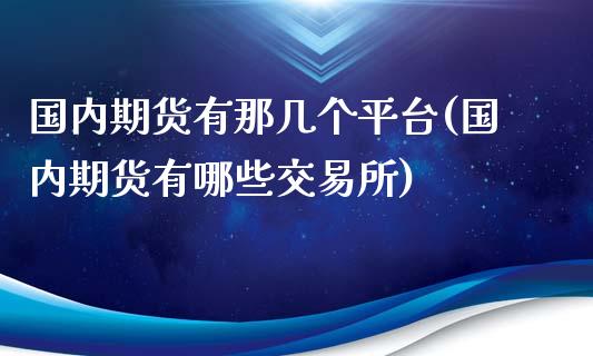国内期货有那几个平台(国内期货有哪些交易所)_https://www.xmqjcw.com_期货百科_第1张