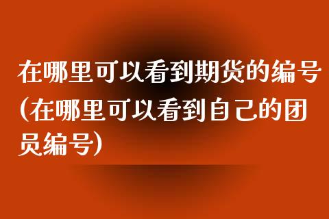 在哪里可以看到期货的编号(在哪里可以看到自己的团员编号)_https://www.xmqjcw.com_期货行情_第1张