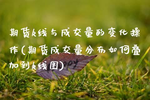 期货k线与成交量的变化操作(期货成交量分布如何叠加到k线图)_https://www.xmqjcw.com_基金理财_第1张