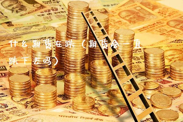 什么期货在跌（期货会一直跌下去吗）_https://www.xmqjcw.com_期货行情_第1张