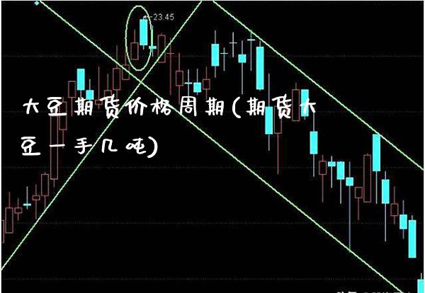 大豆期货价格周期(期货大豆一手几吨)_https://www.xmqjcw.com_股票投资_第1张