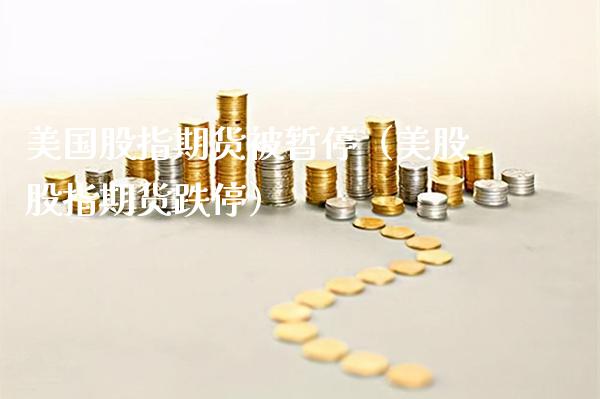 美国股指期货被暂停（美股股指期货跌停）_https://www.xmqjcw.com_期货行情_第1张
