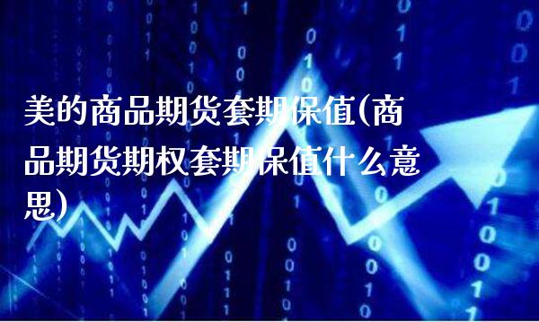 美的商品期货套期保值(商品期货期权套期保值什么意思)_https://www.xmqjcw.com_期货百科_第1张