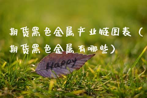 期货黑色金属产业链图表（期货黑色金属有哪些）_https://www.xmqjcw.com_期货直播室_第1张
