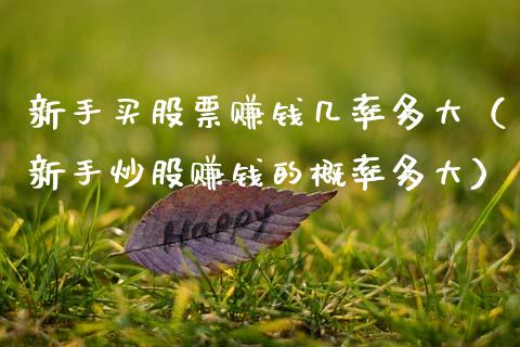 新手买股票赚钱几率多大（新手炒股赚钱的概率多大）_https://www.xmqjcw.com_期货投资_第1张