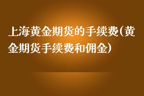 上海黄金期货的手续费(黄金期货手续费和佣金)_https://www.xmqjcw.com_期货开户_第1张