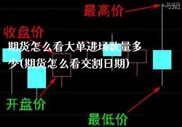 期货怎么看大单进场数量多少(期货怎么看交割日期)_https://www.xmqjcw.com_基金理财_第1张