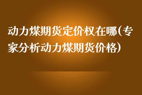 动力煤期货定价权在哪(专家分析动力煤期货价格)_https://www.xmqjcw.com_期货投资_第1张