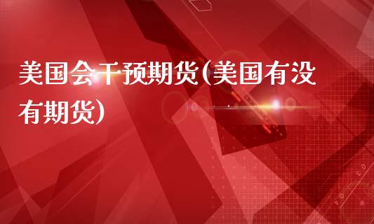 美国会干预期货(美国有没有期货)_https://www.xmqjcw.com_期货行情_第1张
