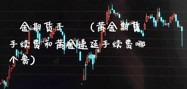 黃金期货手續費(黄金期货手续费和黄金递延手续费哪个贵)_https://www.xmqjcw.com_期货开户_第1张