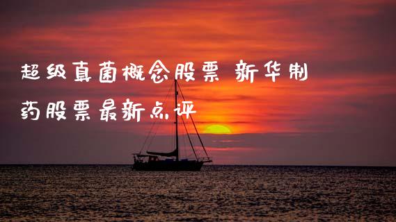 超级真菌概念股票 新华制药股票最新点评_https://www.xmqjcw.com_股票投资_第1张