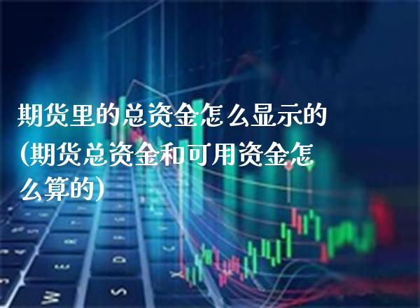 期货里的总资金怎么显示的(期货总资金和可用资金怎么算的)_https://www.xmqjcw.com_期货百科_第1张