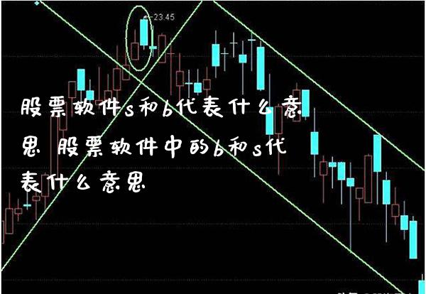 股票软件s和b代表什么意思 股票软件中的b和s代表什么意思_https://www.xmqjcw.com_股票投资_第1张