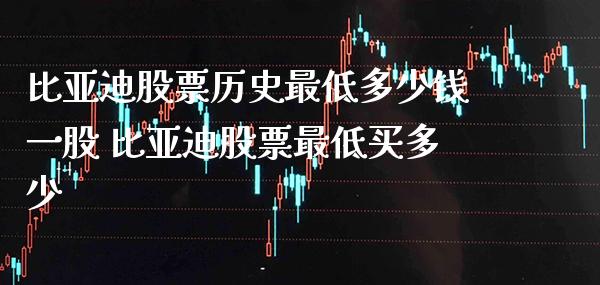 比亚迪股票历史最低多少钱一股 比亚迪股票最低买多少_https://www.xmqjcw.com_股票投资_第1张