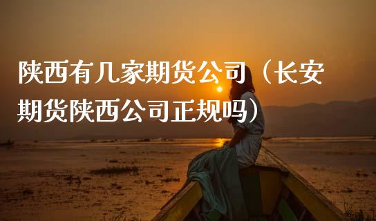 陕西有几家期货公司（长安期货陕西公司正规吗）_https://www.xmqjcw.com_期货直播室_第1张