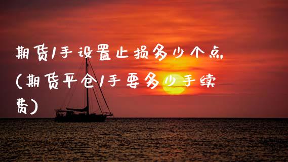 期货1手设置止损多少个点(期货平仓1手要多少手续费)_https://www.xmqjcw.com_期货百科_第1张