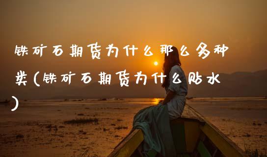 铁矿石期货为什么那么多种类(铁矿石期货为什么贴水)_https://www.xmqjcw.com_期货百科_第1张