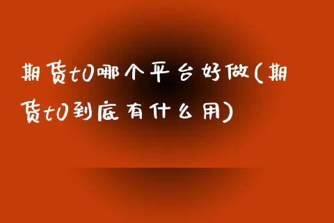 期货t0哪个平台好做(期货t0到底有什么用)_https://www.xmqjcw.com_期货百科_第1张
