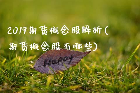 2019期货概念股解析(期货概念股有哪些)_https://www.xmqjcw.com_期货百科_第1张