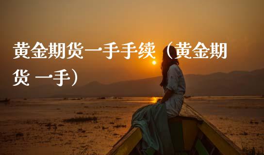 黄金期货一手手续（黄金期货 一手）_https://www.xmqjcw.com_期货投资_第1张