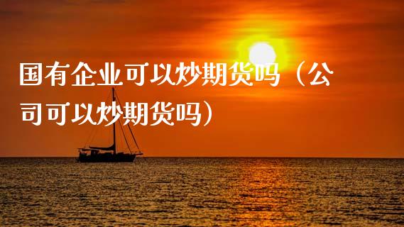 国有企业可以炒期货吗（公司可以炒期货吗）_https://www.xmqjcw.com_期货行情_第1张
