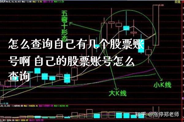 怎么查询自己有几个股票账号啊 自己的股票账号怎么查询_https://www.xmqjcw.com_股票投资_第1张