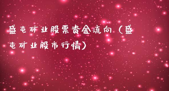 盛屯矿业股票资金流向（盛屯矿业股市行情）_https://www.xmqjcw.com_期货投资_第1张