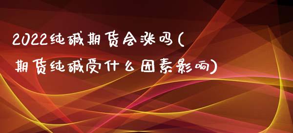 2022纯碱期货会涨吗(期货纯碱受什么因素影响)_https://www.xmqjcw.com_期货百科_第1张