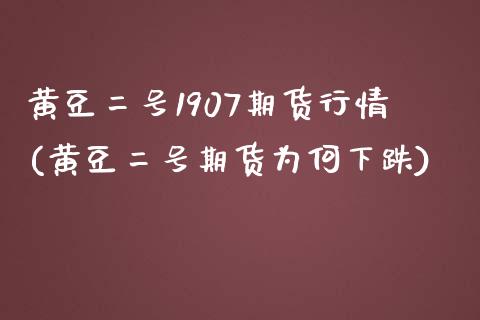 黄豆二号1907期货行情(黄豆二号期货为何下跌)_https://www.xmqjcw.com_期货行情_第1张