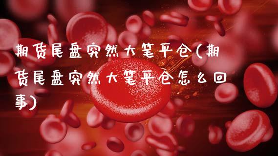 期货尾盘突然大笔平仓(期货尾盘突然大笔平仓怎么回事)_https://www.xmqjcw.com_期货百科_第1张