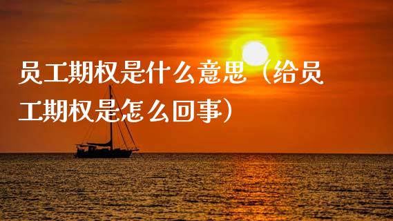 员工期权是什么意思（给员工期权是怎么回事）_https://www.xmqjcw.com_期货投资_第1张