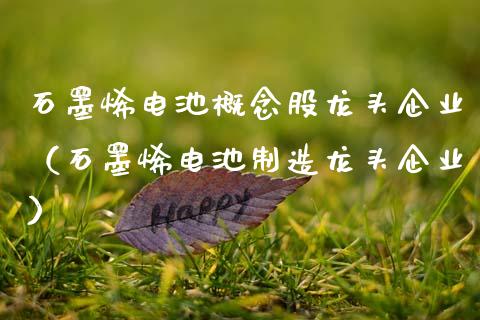 石墨烯电池概念股龙头企业（石墨烯电池制造龙头企业）_https://www.xmqjcw.com_股票投资_第1张