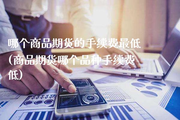 哪个商品期货的手续费最低(商品期货哪个品种手续费低)_https://www.xmqjcw.com_期货百科_第1张