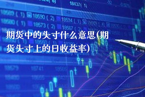 期货中的头寸什么意思(期货头寸上的日收益率)_https://www.xmqjcw.com_期货百科_第1张