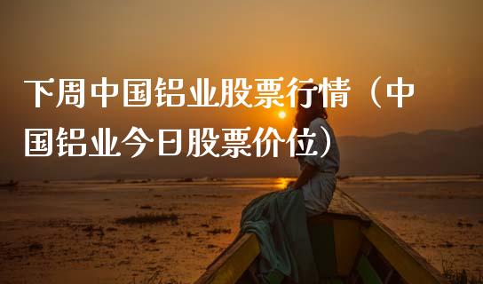 下周中国铝业股票行情（中国铝业今日股票价位）_https://www.xmqjcw.com_期货投资_第1张