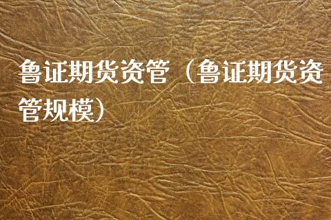 鲁证期货资管（鲁证期货资管规模）_https://www.xmqjcw.com_期货投资_第1张