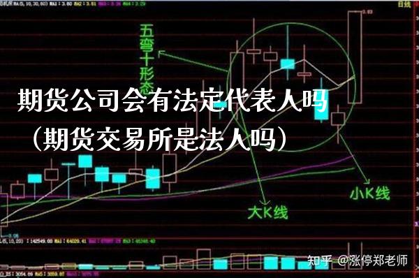 期货公司会有法定代表人吗（期货交易所是法人吗）_https://www.xmqjcw.com_期货行情_第1张