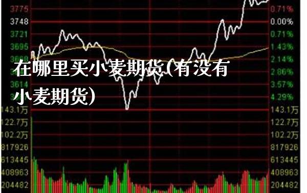 在哪里买小麦期货(有没有小麦期货)_https://www.xmqjcw.com_期货百科_第1张