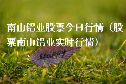 南山铝业股票今日行情（股票南山铝业实时行情）_https://www.xmqjcw.com_期货直播室_第1张