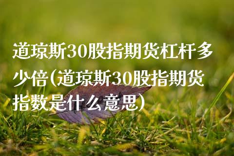 道琼斯30股指期货杠杆多少倍(道琼斯30股指期货指数是什么意思)_https://www.xmqjcw.com_期货投资_第1张