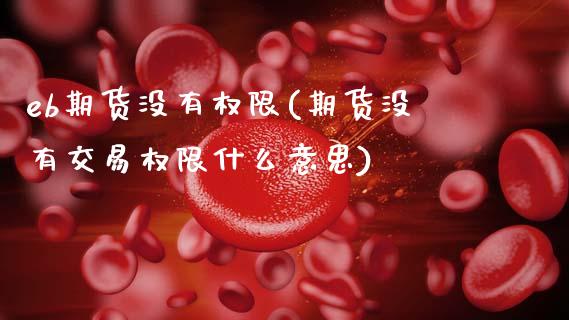 eb期货没有权限(期货没有交易权限什么意思)_https://www.xmqjcw.com_期货百科_第1张