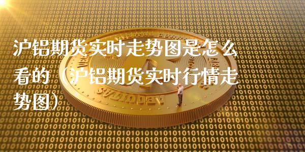 沪铝期货实时走势图是怎么看的（沪铝期货实时行情走势图）_https://www.xmqjcw.com_期货投资_第1张