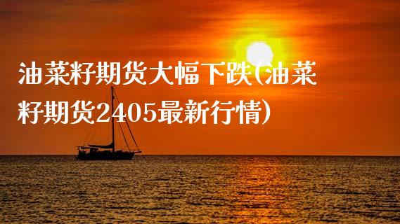 油菜籽期货大幅下跌(油菜籽期货2405最新行情)_https://www.xmqjcw.com_期货百科_第1张