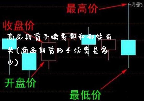 商品期货手续费都和哪些有关(商品期货的手续费是多少)_https://www.xmqjcw.com_期货投资_第1张
