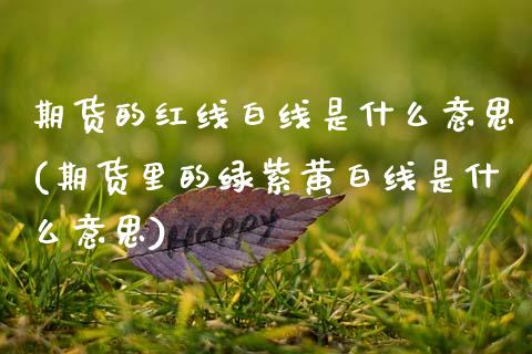 期货的红线白线是什么意思(期货里的绿紫黄白线是什么意思)_https://www.xmqjcw.com_期货百科_第1张