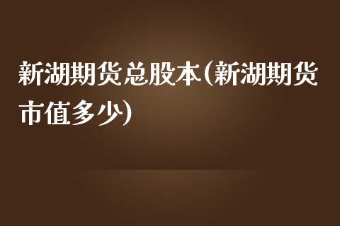 新湖期货总股本(新湖期货市值多少)_https://www.xmqjcw.com_期货百科_第1张