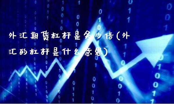 外汇期货杠杆是多少倍(外汇的杠杆是什么意思)_https://www.xmqjcw.com_期货百科_第1张