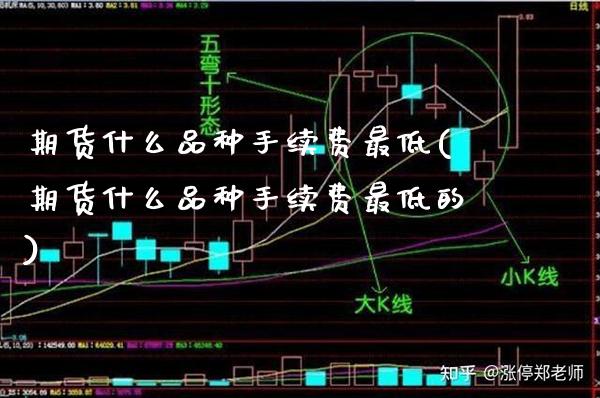 期货什么品种手续费最低(期货什么品种手续费最低的)_https://www.xmqjcw.com_期货直播室_第1张
