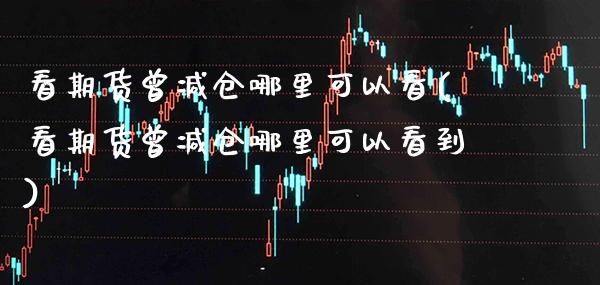 看期货曾减仓哪里可以看(看期货曾减仓哪里可以看到)_https://www.xmqjcw.com_期货投资_第1张