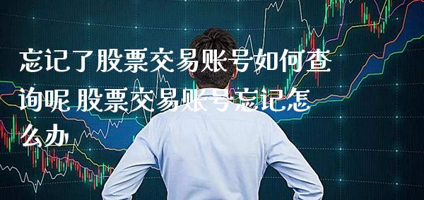 忘记了股票交易账号如何查询呢 股票交易账号忘记怎么办_https://www.xmqjcw.com_股票投资_第1张